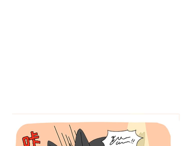 《吐司猫咪POUNDCAT》热可可的新家人 第12页