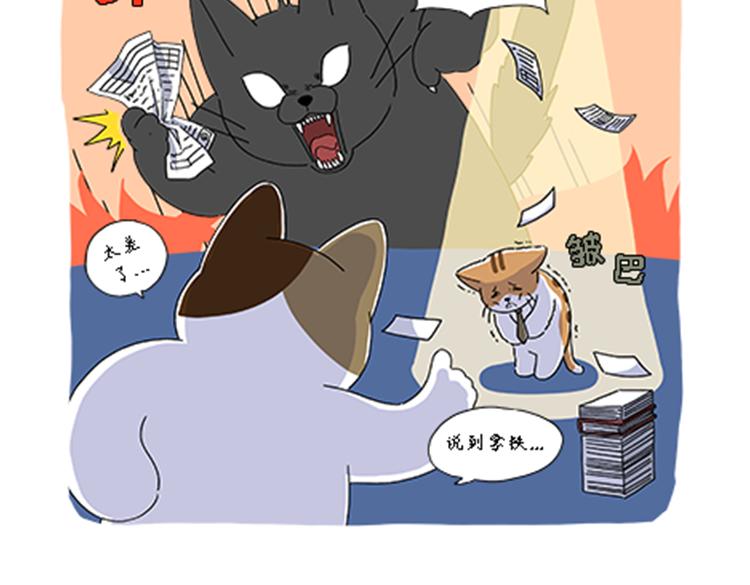 《吐司猫咪POUNDCAT》热可可的新家人 第13页