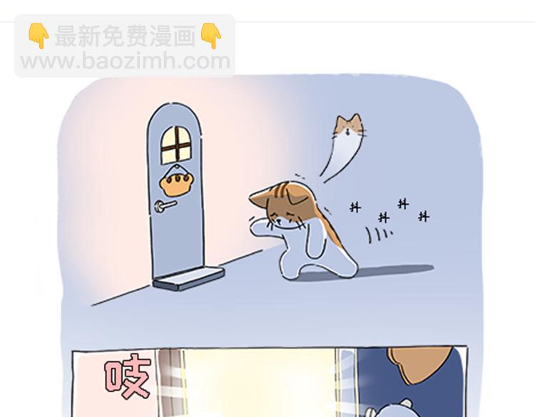 《吐司猫咪POUNDCAT》热可可的新家人 第14页