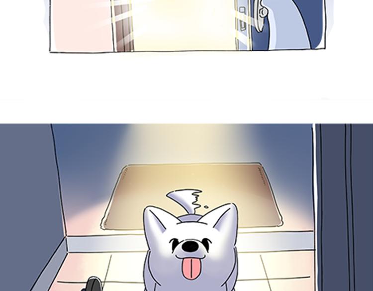 《吐司猫咪POUNDCAT》热可可的新家人 第15页