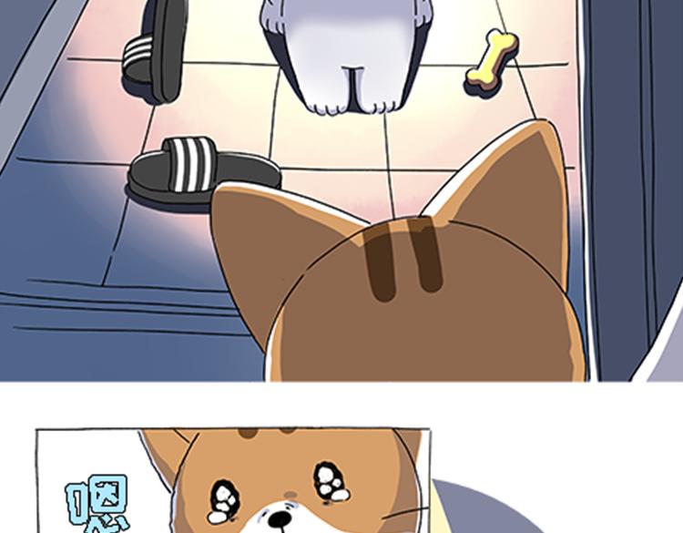 《吐司猫咪POUNDCAT》热可可的新家人 第16页
