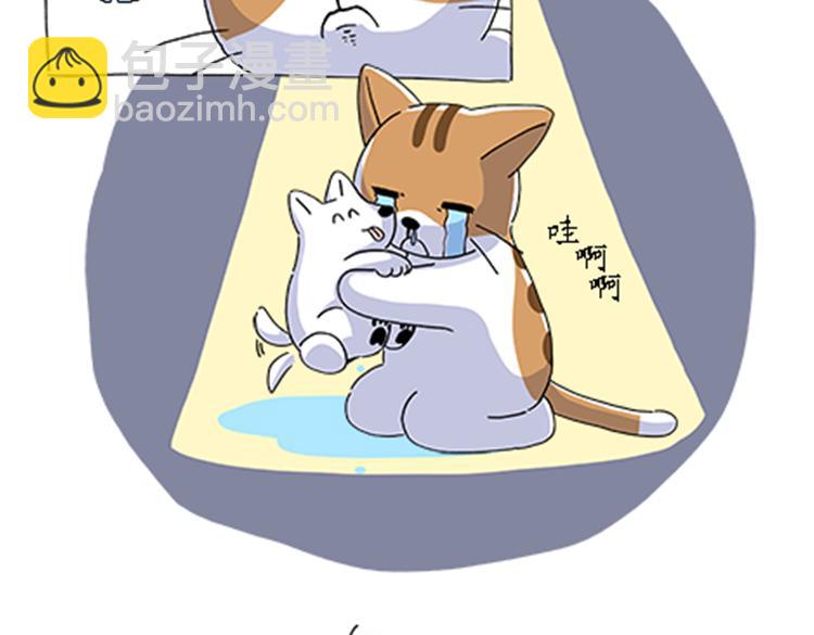 《吐司猫咪POUNDCAT》热可可的新家人 第17页