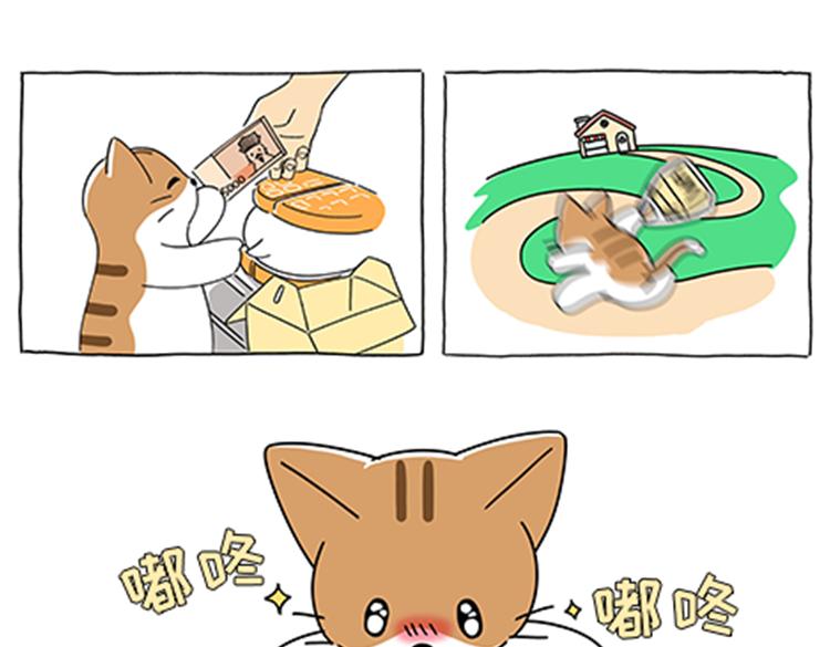 《吐司猫咪POUNDCAT》热可可的新家人 第1页