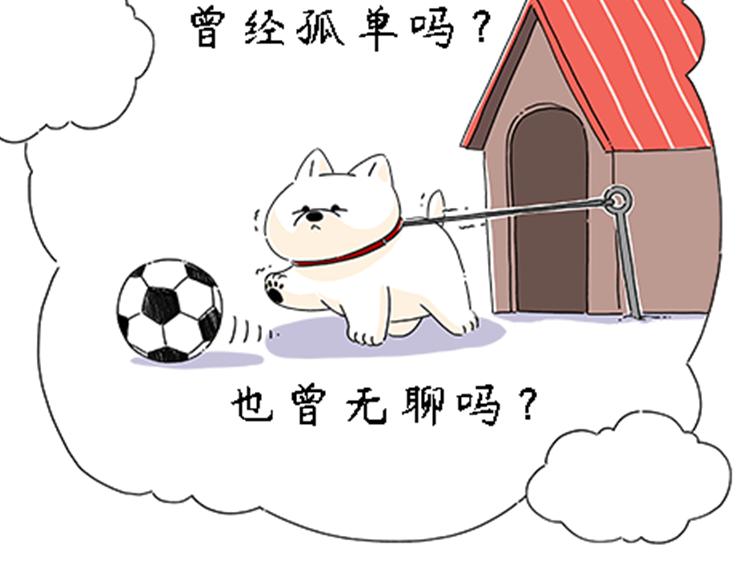 《吐司猫咪POUNDCAT》热可可的新家人 第21页