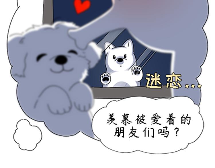 《吐司猫咪POUNDCAT》热可可的新家人 第24页