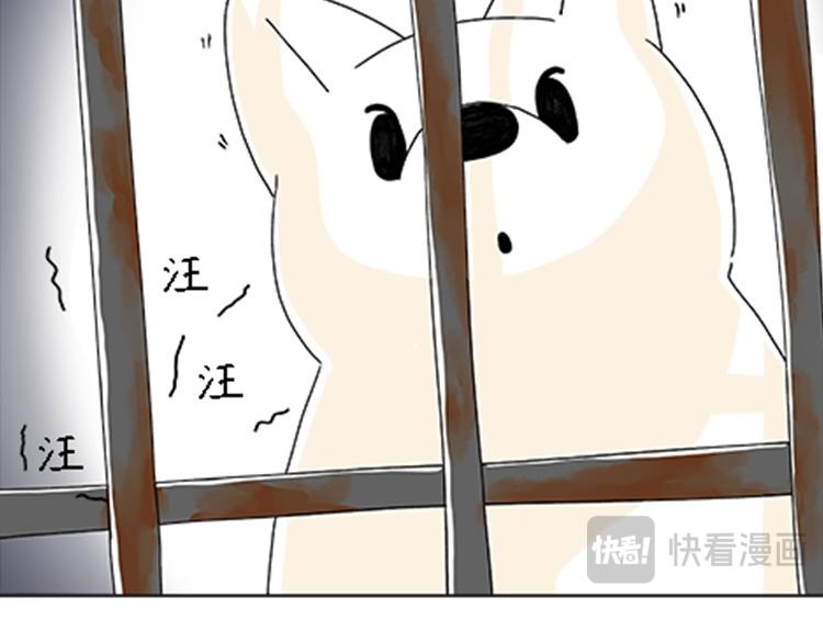 《吐司猫咪POUNDCAT》热可可的新家人 第29页
