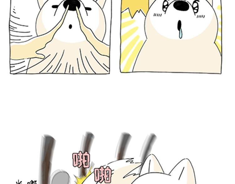 《吐司猫咪POUNDCAT》热可可的新家人 第31页