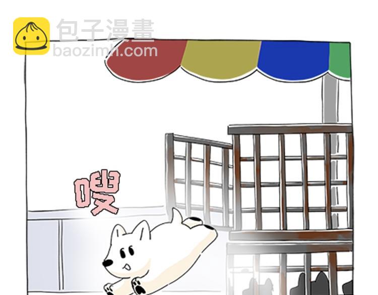 《吐司猫咪POUNDCAT》热可可的新家人 第33页