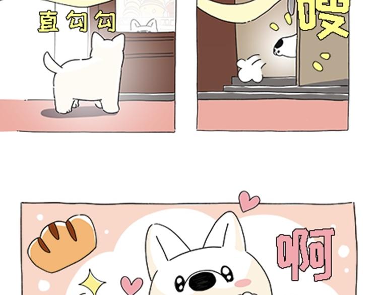 《吐司猫咪POUNDCAT》热可可的新家人 第37页