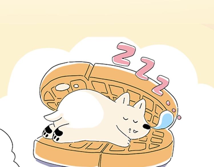 《吐司猫咪POUNDCAT》热可可的新家人 第39页