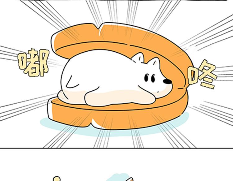 《吐司猫咪POUNDCAT》热可可的新家人 第3页