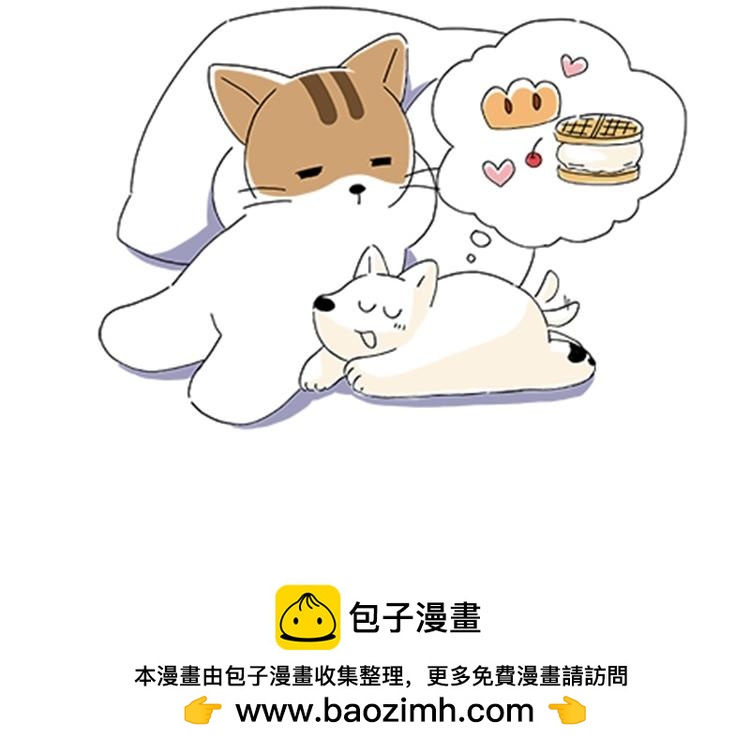 《吐司猫咪POUNDCAT》热可可的新家人 第41页
