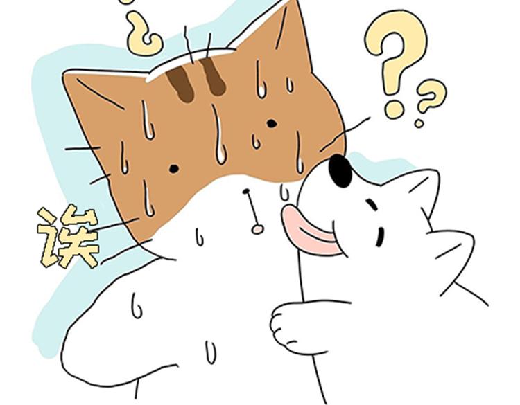 《吐司猫咪POUNDCAT》热可可的新家人 第4页