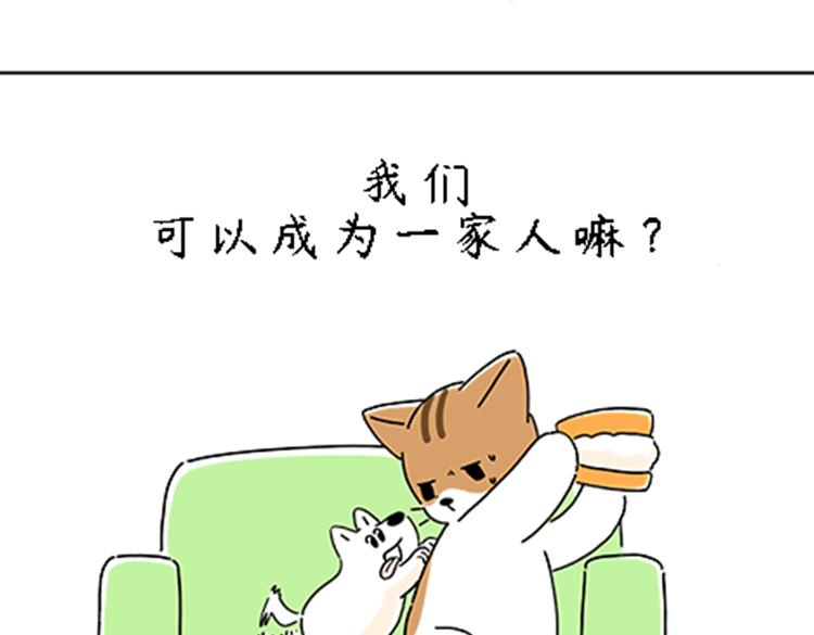 《吐司猫咪POUNDCAT》热可可的新家人 第5页