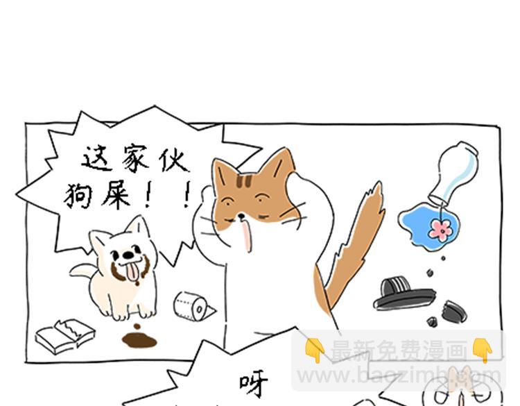 《吐司猫咪POUNDCAT》热可可的新家人 第7页