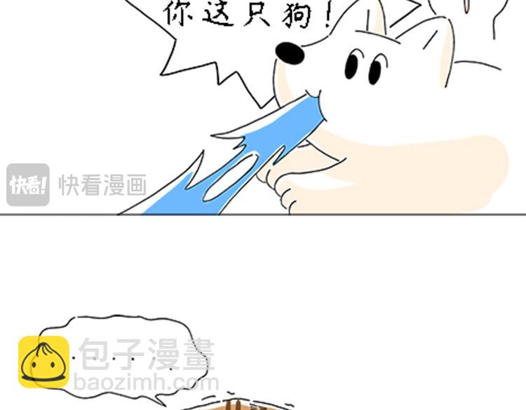 《吐司猫咪POUNDCAT》热可可的新家人 第8页