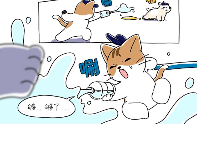 《吐司猫咪POUNDCAT》小奶油散步日记 第13页