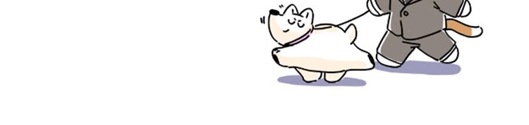 《吐司猫咪POUNDCAT》小奶油散步日记 第15页