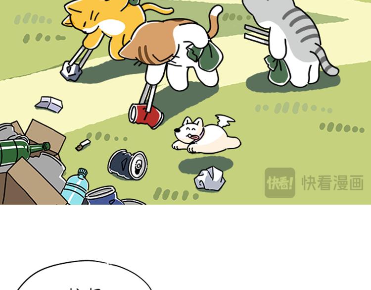 《吐司猫咪POUNDCAT》小奶油散步日记 第17页