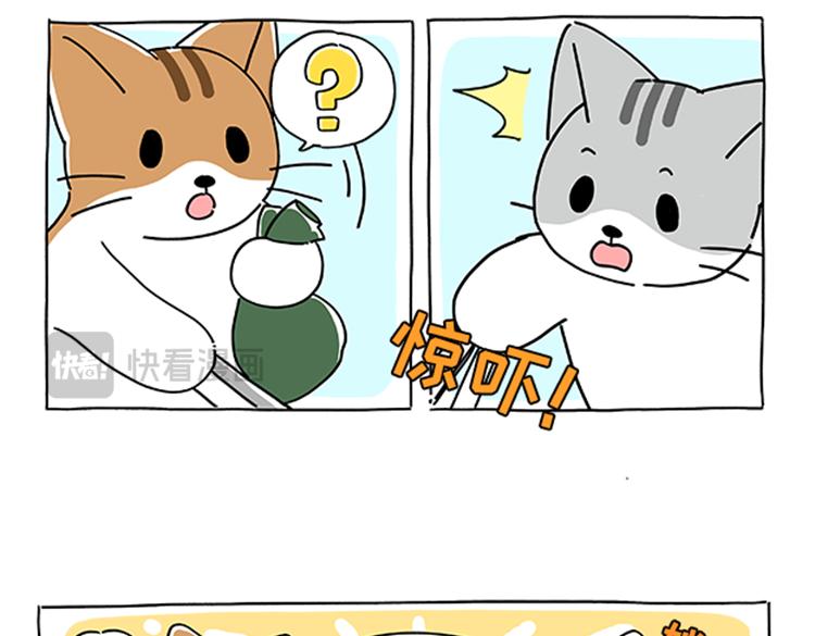 《吐司猫咪POUNDCAT》小奶油散步日记 第21页