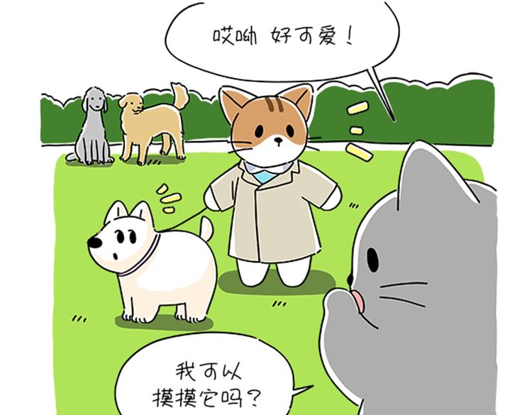 《吐司猫咪POUNDCAT》小奶油散步日记 第29页