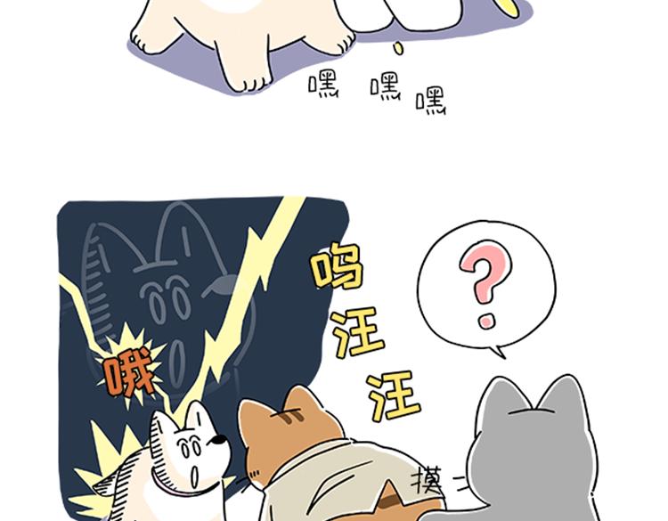 《吐司猫咪POUNDCAT》小奶油散步日记 第31页