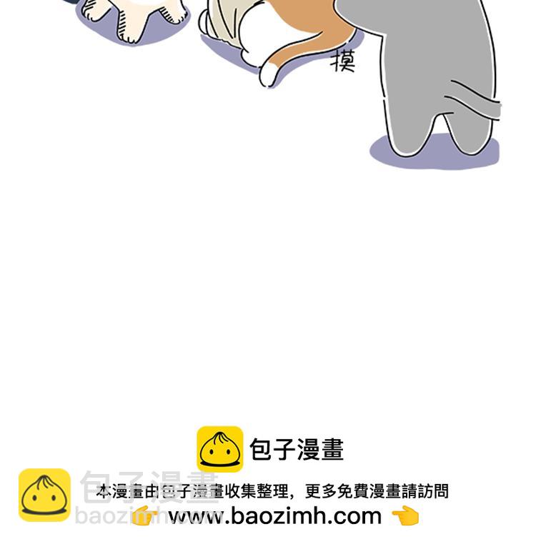 《吐司猫咪POUNDCAT》小奶油散步日记 第32页