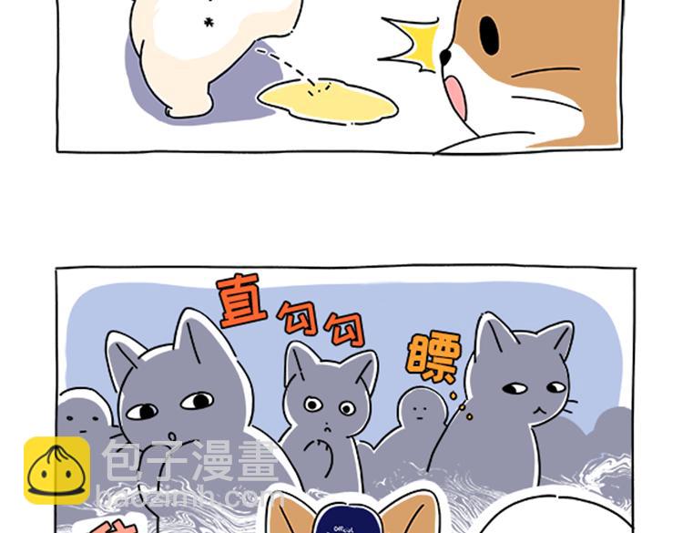 《吐司猫咪POUNDCAT》小奶油散步日记 第5页