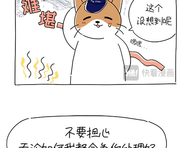 《吐司猫咪POUNDCAT》小奶油散步日记 第6页
