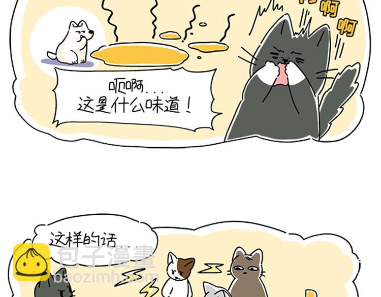 《吐司猫咪POUNDCAT》小奶油散步日记 第9页
