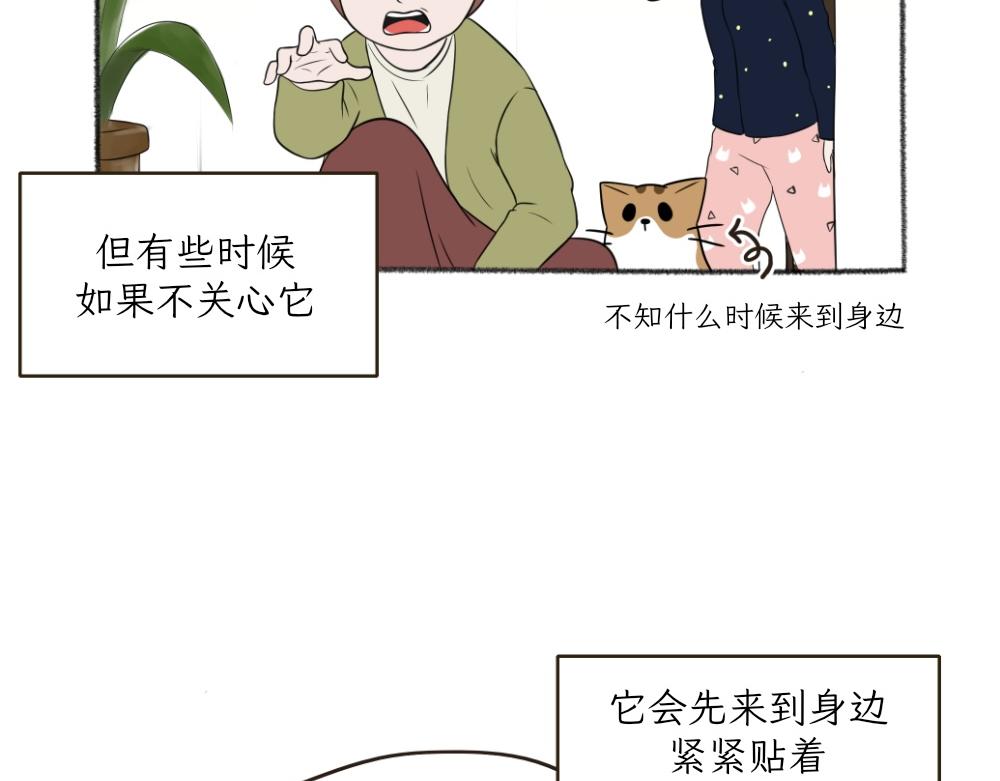 《吐司猫咪POUNDCAT》第一季完结章 第10页