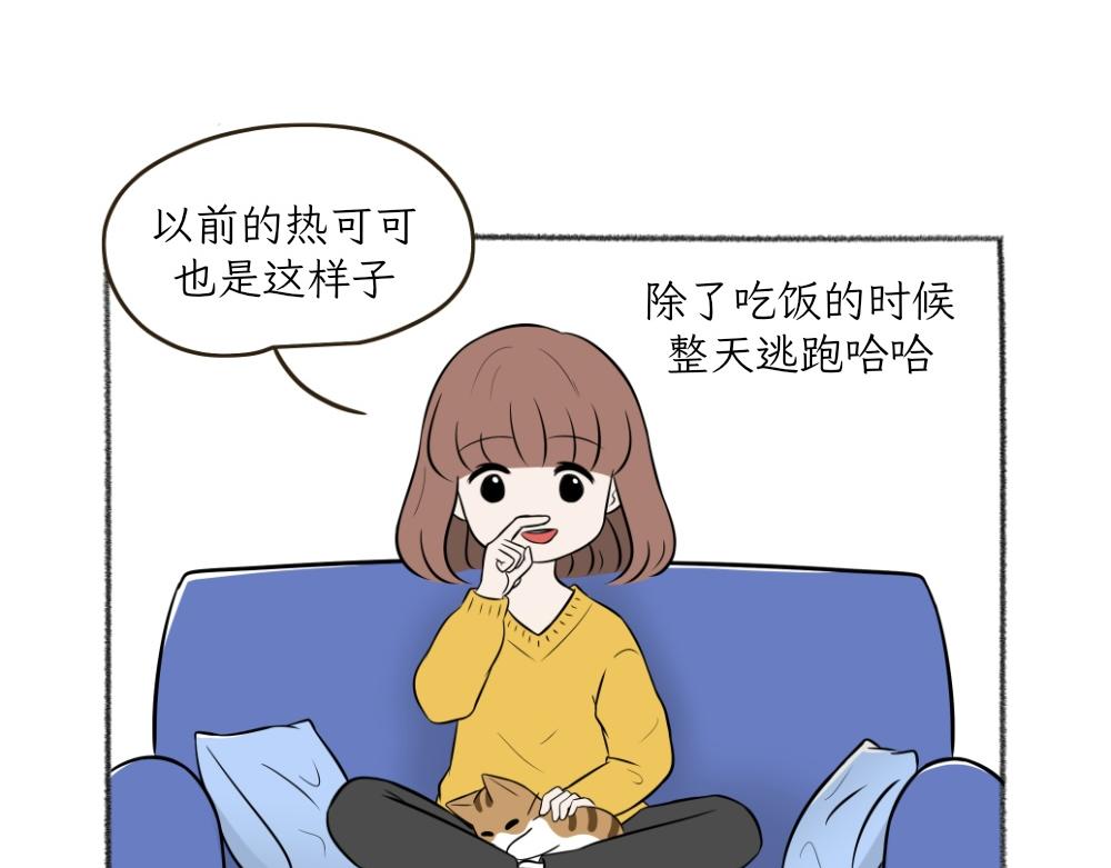 《吐司猫咪POUNDCAT》第一季完结章 第15页