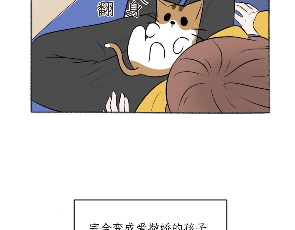 《吐司猫咪POUNDCAT》第一季完结章 第17页