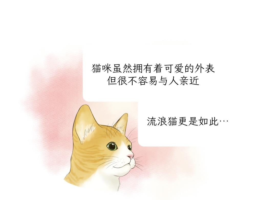 《吐司猫咪POUNDCAT》第一季完结章 第1页