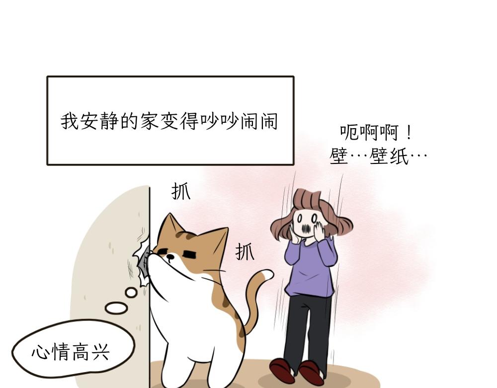 《吐司猫咪POUNDCAT》第一季完结章 第24页