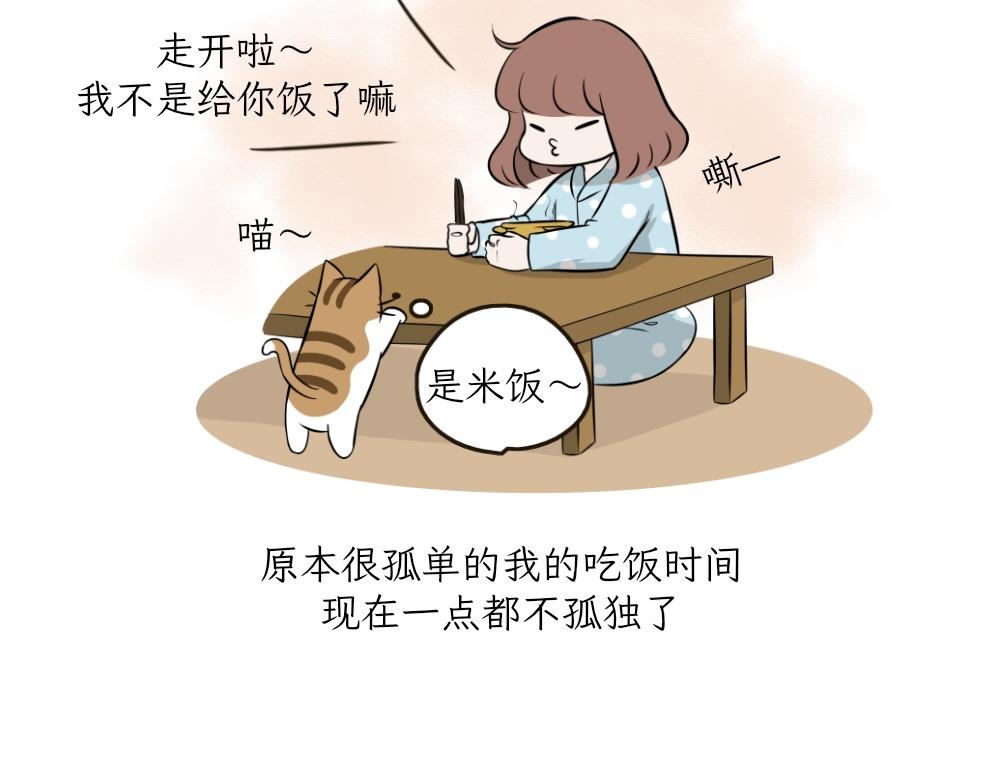 《吐司猫咪POUNDCAT》第一季完结章 第26页