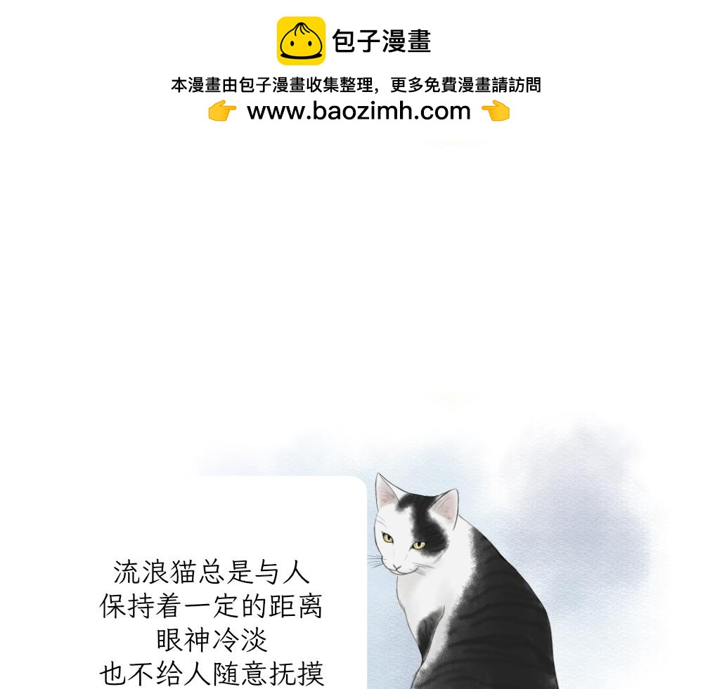 《吐司猫咪POUNDCAT》第一季完结章 第2页