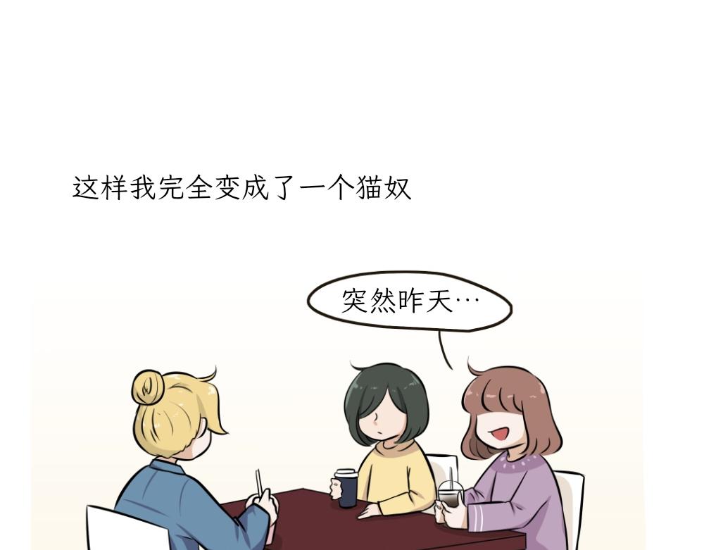 《吐司猫咪POUNDCAT》第一季完结章 第32页