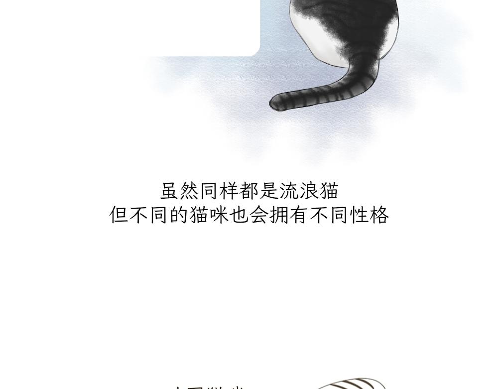 《吐司猫咪POUNDCAT》第一季完结章 第3页
