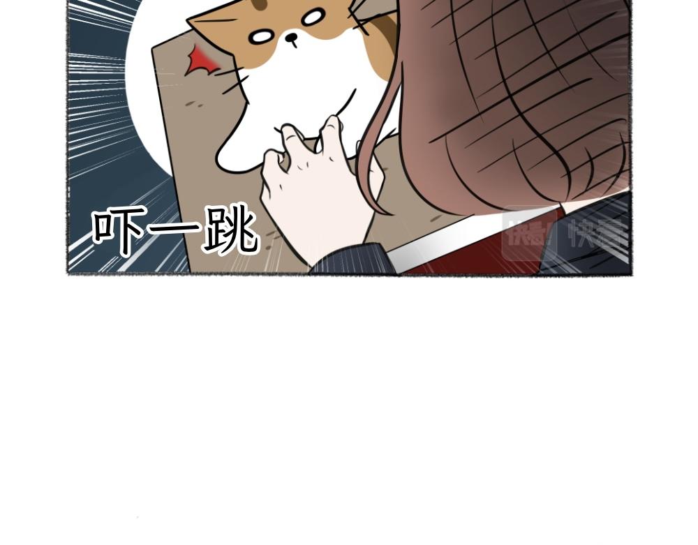 《吐司猫咪POUNDCAT》第一季完结章 第7页