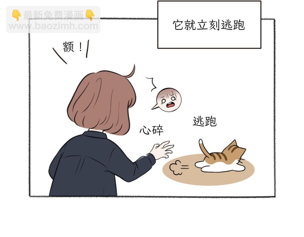 《吐司猫咪POUNDCAT》第一季完结章 第8页