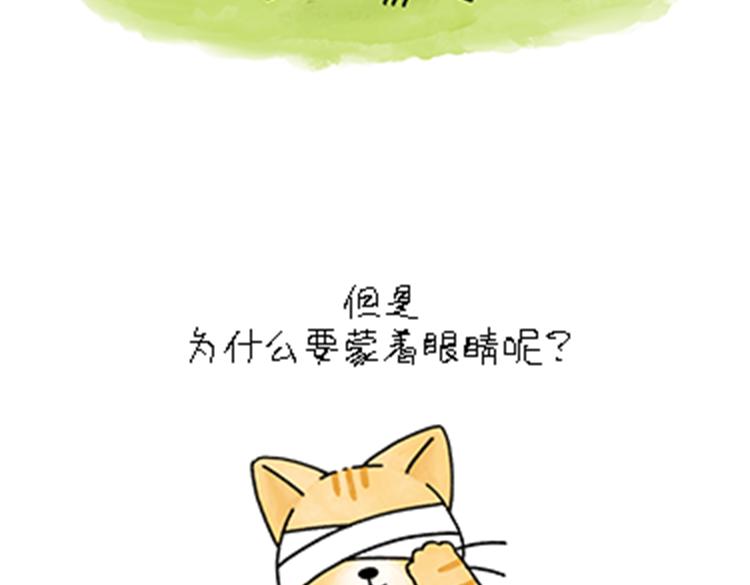 《吐司猫咪POUNDCAT》热可可和小奶油的梦之星电台 第10页