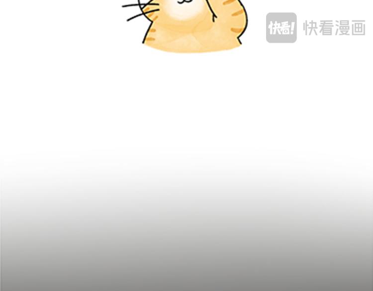 《吐司猫咪POUNDCAT》热可可和小奶油的梦之星电台 第11页