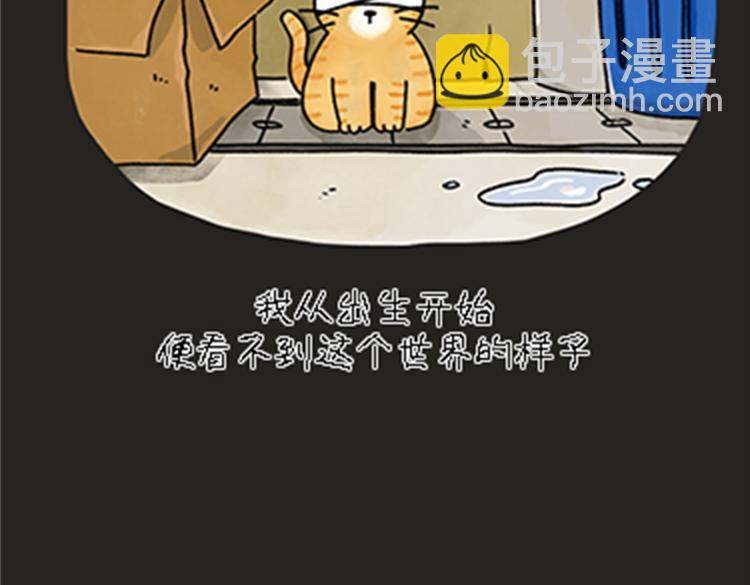 《吐司猫咪POUNDCAT》热可可和小奶油的梦之星电台 第13页