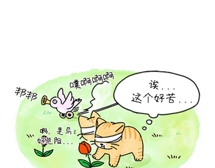 《吐司猫咪POUNDCAT》热可可和小奶油的梦之星电台 第17页