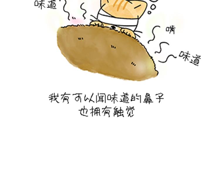 《吐司猫咪POUNDCAT》热可可和小奶油的梦之星电台 第19页
