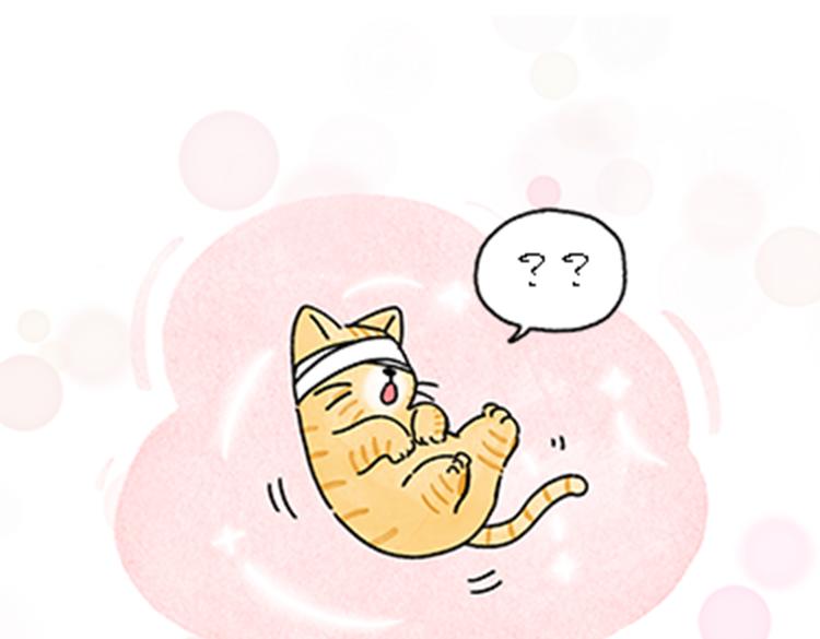 《吐司猫咪POUNDCAT》热可可和小奶油的梦之星电台 第23页