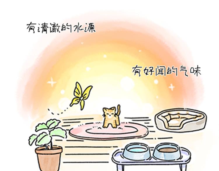 《吐司猫咪POUNDCAT》热可可和小奶油的梦之星电台 第26页