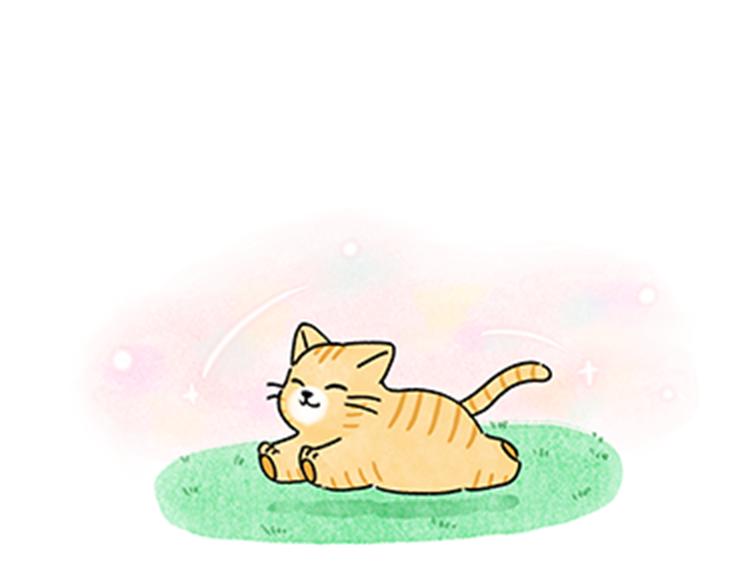 《吐司猫咪POUNDCAT》热可可和小奶油的梦之星电台 第29页