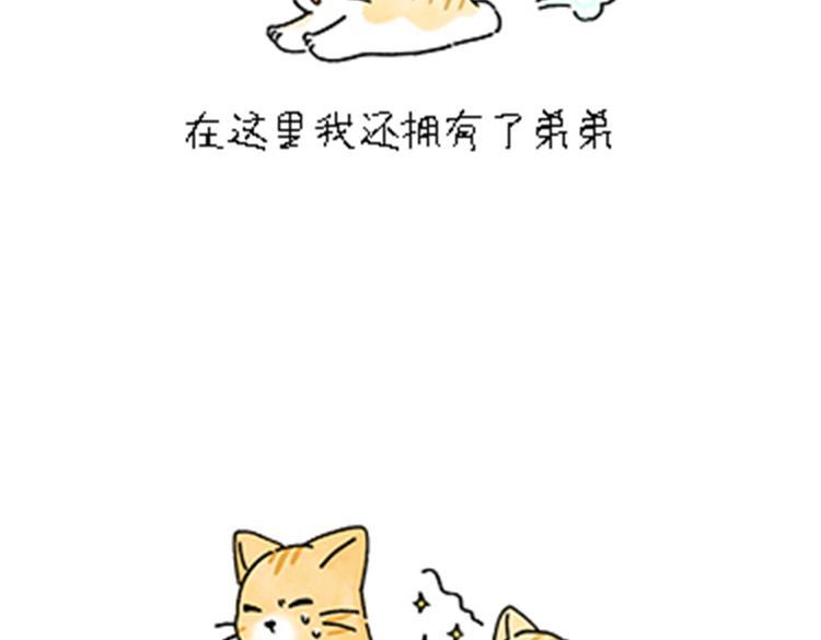 《吐司猫咪POUNDCAT》热可可和小奶油的梦之星电台 第31页